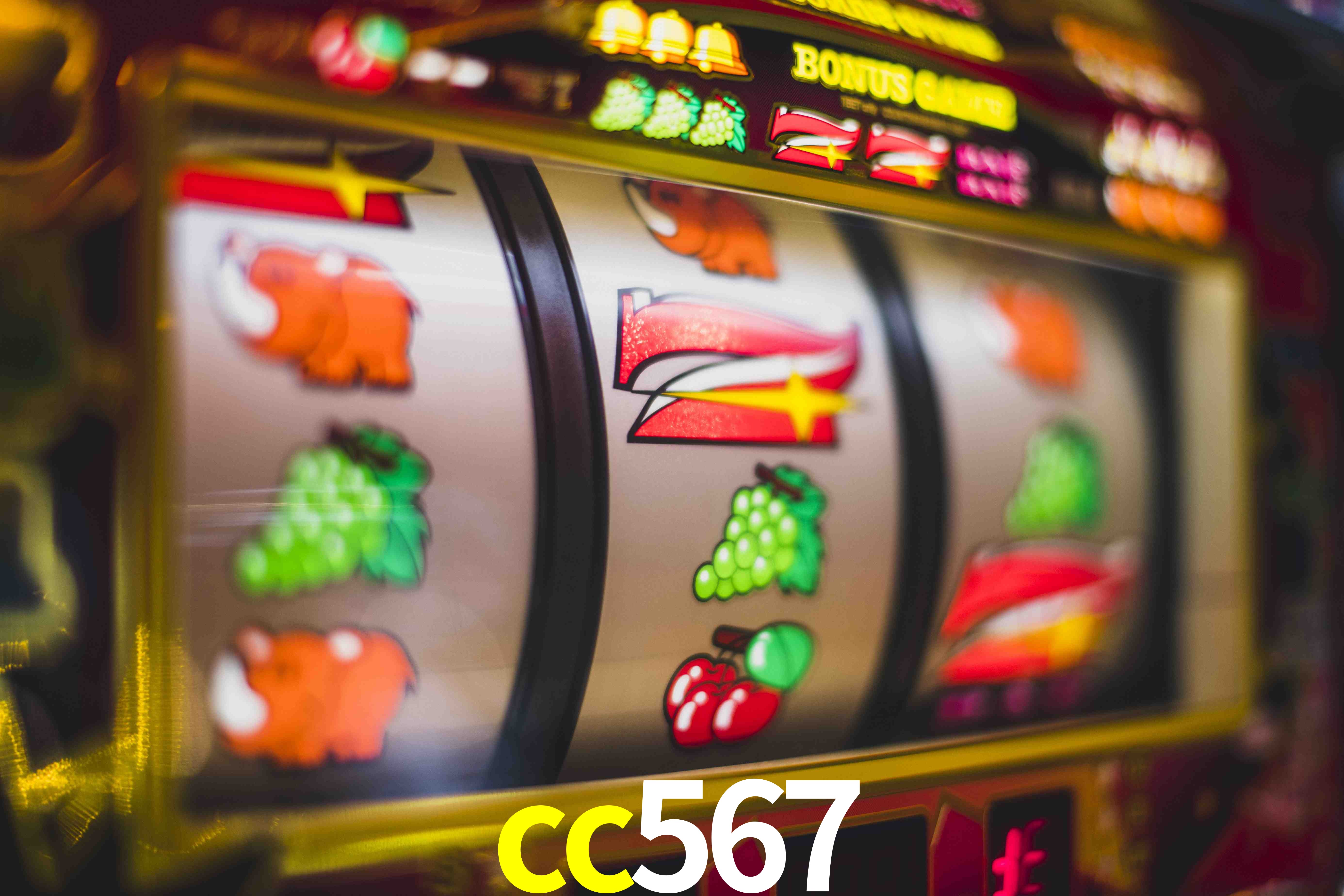 Football Betting cc567